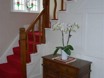 Picture 11